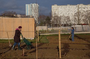 AGRICULTURE URBAINE 