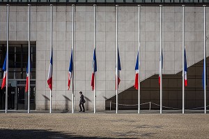 DRAPEAUX FRANCAIS EN BERNE 