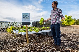 DEMONSTRATEUR D'AGRICULTURE URBAINE, SAINT-CYR L'ECOLE (78) YVELINES, ILE-DE-FRANCE, FRANCE 