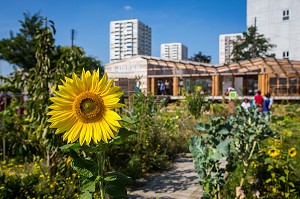 PROJET DE JARDIN EXPERIMENTAL R-UBAN PAR L'ATELIER D'ARCHITECTURE AUTOGEREE (AAA), COLOMBES (92) HAUTS-DE-SEINE, FRANCE 