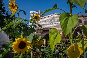 PROJET DE JARDIN EXPERIMENTAL R-UBAN PAR L'ATELIER D'ARCHITECTURE AUTOGEREE (AAA), COLOMBES (92) HAUTS-DE-SEINE, FRANCE 