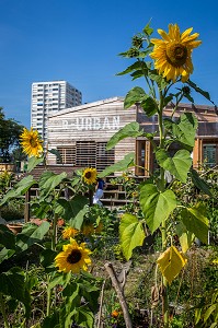 PROJET DE JARDIN EXPERIMENTAL R-UBAN PAR L'ATELIER D'ARCHITECTURE AUTOGEREE (AAA), COLOMBES (92) HAUTS-DE-SEINE, FRANCE 