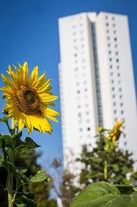 PROJET DE JARDIN EXPERIMENTAL R-UBAN PAR L'ATELIER D'ARCHITECTURE AUTOGEREE (AAA), COLOMBES (92) HAUTS-DE-SEINE, FRANCE 