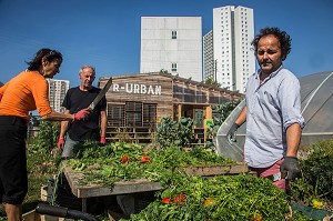 PROJET DE JARDIN EXPERIMENTAL R-UBAN PAR L'ATELIER D'ARCHITECTURE AUTOGEREE (AAA), COLOMBES (92) HAUTS-DE-SEINE, FRANCE 