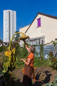 PROJET DE JARDIN EXPERIMENTAL R-UBAN PAR L'ATELIER D'ARCHITECTURE AUTOGEREE (AAA), COLOMBES (92) HAUTS-DE-SEINE, FRANCE 