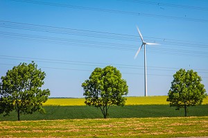 L'ENERGIE EN FRANCE 