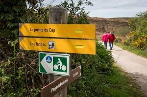 ILLUSTRATION COTES D'ARMOR (22), BRETAGNE, FRANCE 