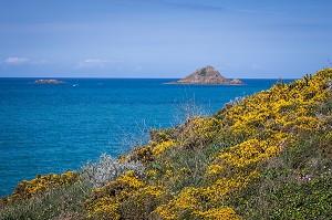 ILLUSTRATION COTES D'ARMOR (22), BRETAGNE, FRANCE 