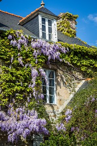 ILLUSTRATION COTES D'ARMOR (22), BRETAGNE, FRANCE 
