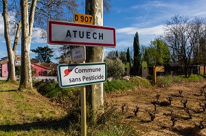 ENTRETIEN DES ESPACES VERTS SANS PESTICIDES, ATUECH, (30) GARD, LANGUEDOC-ROUSSILLON, FRANCE 