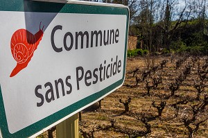 ENTRETIEN DES ESPACES VERTS SANS PESTICIDES, ATUECH, (30) GARD, LANGUEDOC-ROUSSILLON, FRANCE 