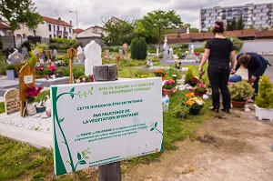 ENTRETIEN DES ESPACES VERTS SANS DESHERBANTS CHIMIQUES, VITRY-SUR-SEINE, (94) VAL-DE-MARNE, ILE-DE-FRANCE, FRANCE 