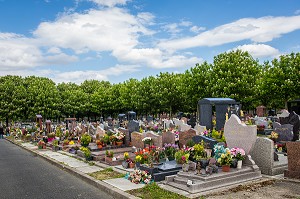 ENTRETIEN DES ESPACES VERTS SANS DESHERBANTS CHIMIQUES, VITRY-SUR-SEINE, (94) VAL-DE-MARNE, ILE-DE-FRANCE, FRANCE 