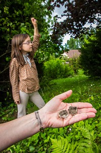 LES BOMBES DE GRAINES, DES ARMES DE GUERILLA JARDINIERE, BURES-SUR-YVETTE, ESSONNE, ILE-DE-FRANCE, FRANCE 