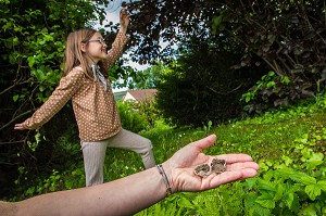 LES BOMBES DE GRAINES, DES ARMES DE GUERILLA JARDINIERE, BURES-SUR-YVETTE, ESSONNE, ILE-DE-FRANCE, FRANCE 