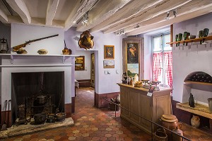 ILLUSTRATION SEINE ET MARNE (77), ILE DE FRANCE, FRANCE 