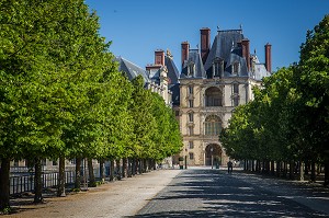 ILLUSTRATION SEINE ET MARNE (77), ILE DE FRANCE, FRANCE 