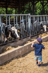 FERME DE VILTAIN, JOUY EN JOSAS, (78) YVELINES, ILE DE FRANCE, FRANCE 