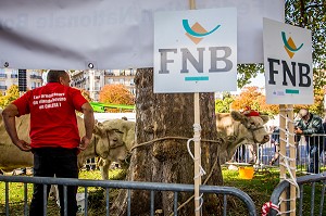 MANIFESTATION AGRICULTEURS A PARIS 