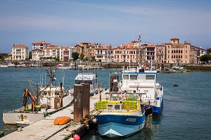 ILLUSTRATION PAYS BASQUE, (64) PYRENEES-ATLANTIQUES, AQUITAINE, FRANCE 