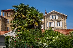 ILLUSTRATION PAYS BASQUE, (64) PYRENEES-ATLANTIQUES, AQUITAINE, FRANCE 