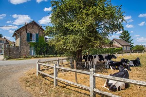 LA FERME DE VILTAIN, JOUY EN JOSAS, (78) YVELINES, ILE-DE-FRANCE, FRANCE 