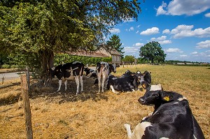 LA FERME DE VILTAIN, JOUY EN JOSAS, (78) YVELINES, ILE-DE-FRANCE, FRANCE 