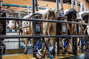 LA FERME DE VILTAIN, JOUY EN JOSAS, (78) YVELINES, ILE-DE-FRANCE, FRANCE