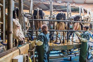 LA FERME DE VILTAIN, JOUY EN JOSAS, (78) YVELINES, ILE-DE-FRANCE, FRANCE