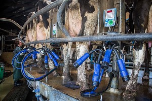 LA FERME DE VILTAIN, JOUY EN JOSAS, (78) YVELINES, ILE-DE-FRANCE, FRANCE