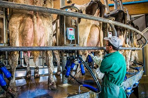 LA FERME DE VILTAIN, JOUY EN JOSAS, (78) YVELINES, ILE-DE-FRANCE, FRANCE