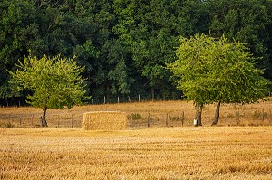 LA FERME DE VILTAIN, JOUY EN JOSAS, (78) YVELINES, ILE-DE-FRANCE, FRANCE 