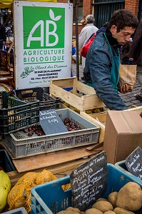 ILLUSTRATION VILLE DE LILLE, (59) NORD, NORD PAS DE CALAIS, FRANCE 