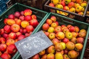 ILLUSTRATION VILLE DE LILLE, (59) NORD, NORD PAS DE CALAIS, FRANCE 