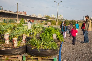 FERME URBAINE, LILLE, (59) NORD, NORD PAS DE CALAIS, FRANCE 