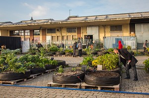 FERME URBAINE, LILLE, (59) NORD, NORD PAS DE CALAIS, FRANCE 