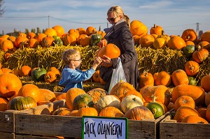 CITROUILLE JACK O'LANTERN, HALLOWEEN 