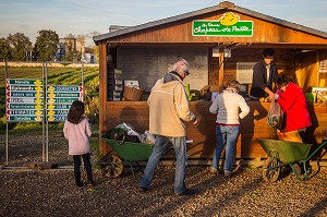 CUEILLETTE DE FRUITS ET LEGUMES 