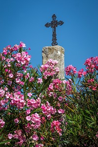 ILLUSTRATION VAUCLUSE (84), PACA, PROVENCE ALPES COTES D'AZUR, FRANCE 