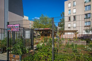 L'AGRICULTURE URBAINE, JARDIN PARTAGE, ALFORTVILLE, (94) VAL-DE-MARNE, ILE-DE-FRANCE, FRANCE 