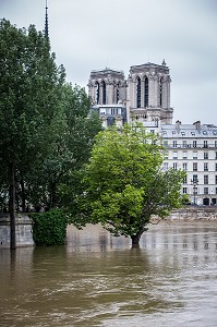 INONDATIONS, CRUE DE LA SEINE, PARIS 2016 