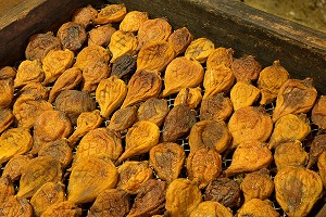 LA LOIRE AU FIL DE L'EAU, INDRE ET LOIRE, (37), REGION CENTRE VAL DE LOIRE, FRANCE 