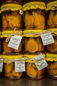 LA LOIRE AU FIL DE L'EAU, INDRE ET LOIRE, (37), REGION CENTRE VAL DE LOIRE, FRANCE 