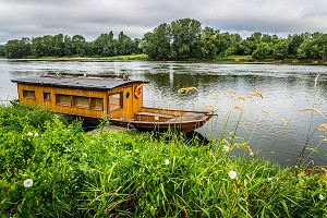 LA LOIRE AU FIL DE L'EAU, INDRE ET LOIRE, (37), REGION CENTRE VAL DE LOIRE, FRANCE 