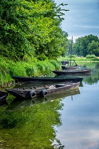LA LOIRE AU FIL DE L'EAU, INDRE ET LOIRE, (37), REGION CENTRE VAL DE LOIRE, FRANCE 