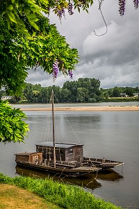 LA LOIRE AU FIL DE L'EAU, INDRE ET LOIRE, (37), REGION CENTRE VAL DE LOIRE, FRANCE 
