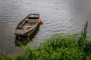 LA LOIRE AU FIL DE L'EAU, INDRE ET LOIRE, (37), REGION CENTRE VAL DE LOIRE, FRANCE 