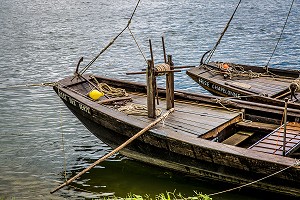 LA LOIRE AU FIL DE L'EAU, INDRE ET LOIRE, (37), REGION CENTRE VAL DE LOIRE, FRANCE 