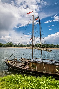 LA LOIRE AU FIL DE L'EAU, INDRE ET LOIRE, (37), REGION CENTRE VAL DE LOIRE, FRANCE 