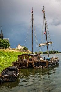 LA LOIRE AU FIL DE L'EAU, INDRE ET LOIRE, (37), REGION CENTRE VAL DE LOIRE, FRANCE 